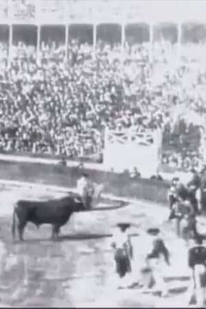 Espagne : courses de taureaux, II