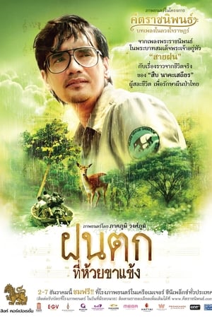 ฝนตกที่ห้วยขาแข้ง