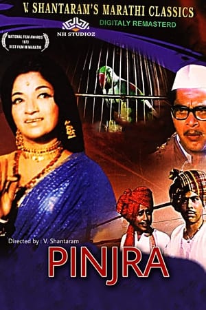 पिंजरा