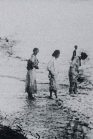 Seashore