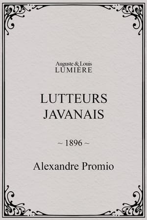 Lutteurs javanais