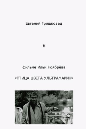 Птица цвета ультрамарин