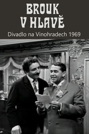 Brouk v hlavě