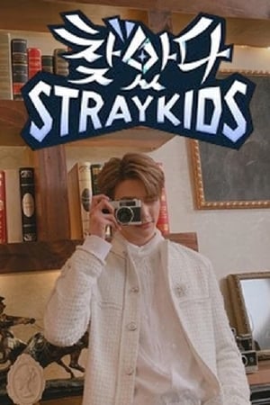 찾았다 스트레이 키즈