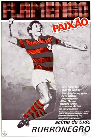 Flamengo Paixão