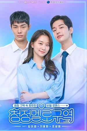 청정멜로구역