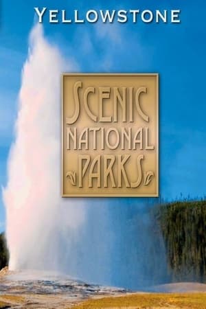 Treasures of America's National Parks: Yellowstone