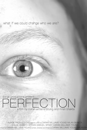 PERFECTION