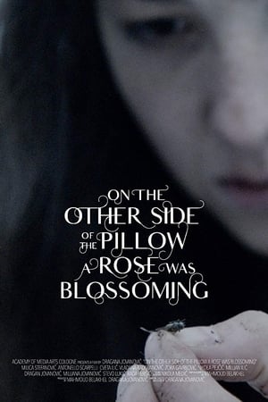 On the Other Side of the Pillow a Rose Was Blossoming