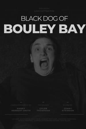 Black Dog of Bouley Bay