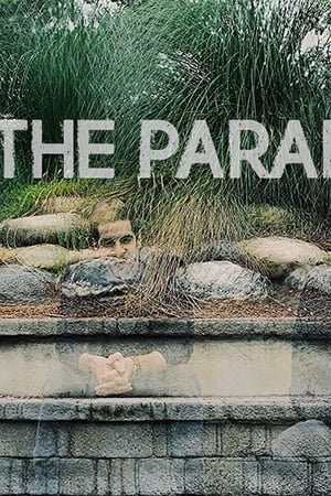 The Paradox