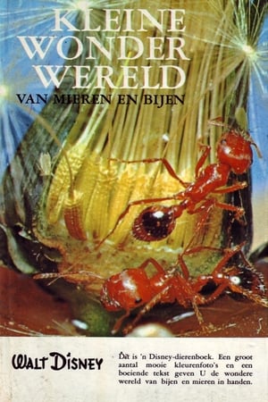 Deze kleine wereld