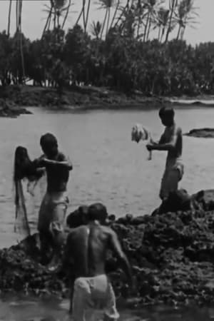 Kanaka Fishermen Casting the Throw Net, Hilo, H.I.