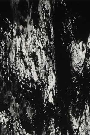 Bitemporal Vision: The Sea