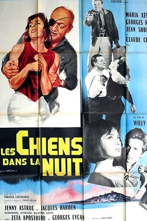 Les chiens dans la nuit