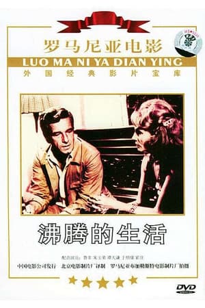 沸腾的生活