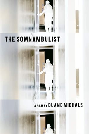 The Somnambulist