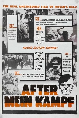 After Mein Kampf