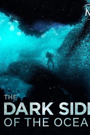 The Dark Side of the Ocean