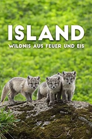 Island - Wildnis aus Feuer und Eis