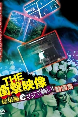 THE 衝撃映像 総集編(3) マジで怖い! 動画集