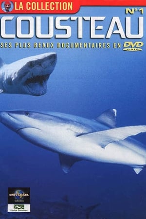 L’Odyssée sous-marine de l'équipe Cousteau