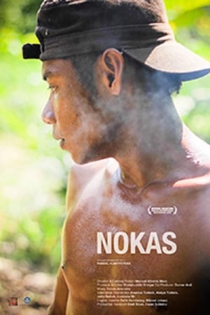 Nokas
