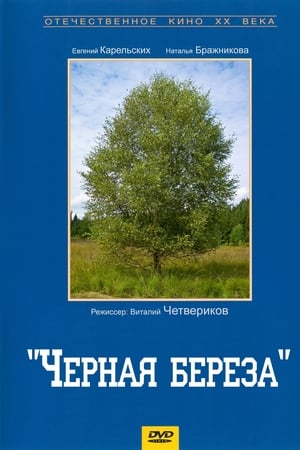 Чёрная берёза