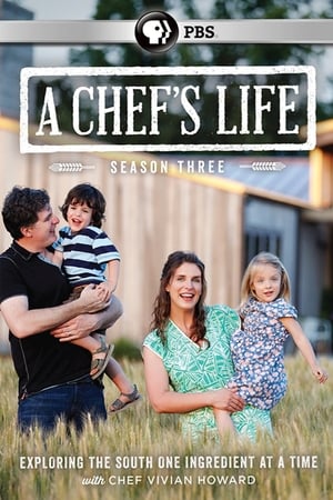 A Chef's Life第3季