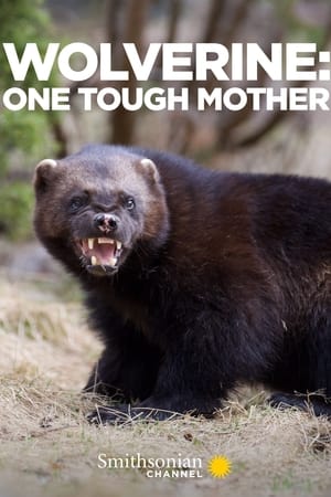 Wolverine: One Tough Mother