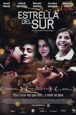 Estrella del sur