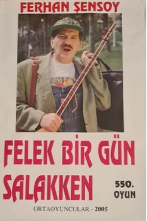 Felek Bir Gün Salakken