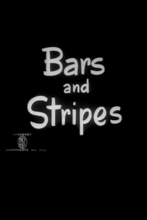 Bars and Stripes