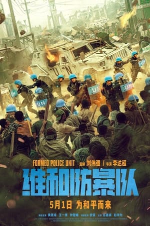 维和防暴队
