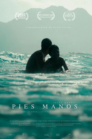 Pies Manos