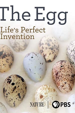 The Egg: Life’s Perfect Invention