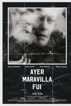 Ayer Maravilla Fuí
