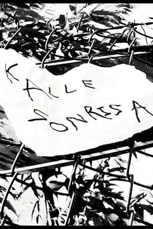 Kalle Sonrisa