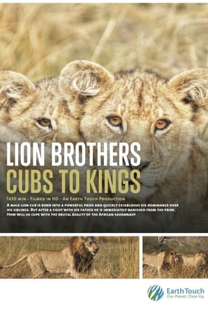 Lion Brothers: Cubs to Kings