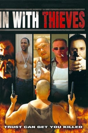 In with Thieves