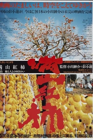 满山红柿