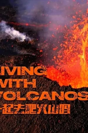 一起去爬火山吗