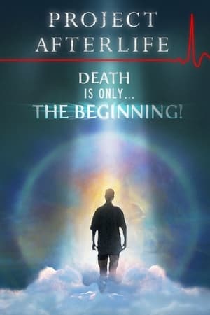 Project Afterlife