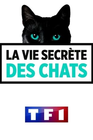 Vite fait, bien fait, avec Émilie