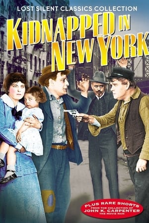 Kidnapped in New York