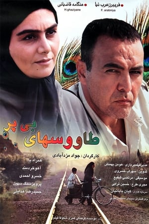 طاووس‌های بی پر