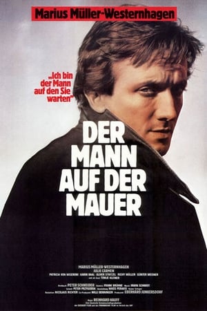 Der Mann auf der Mauer
