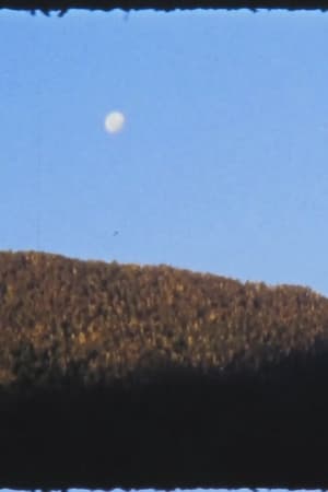 El Manso