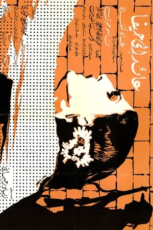 عائد إلى حيفا
