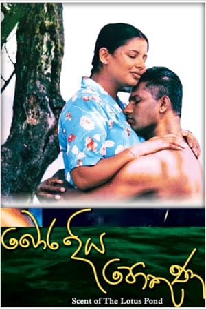 Bora Diya Pokuna